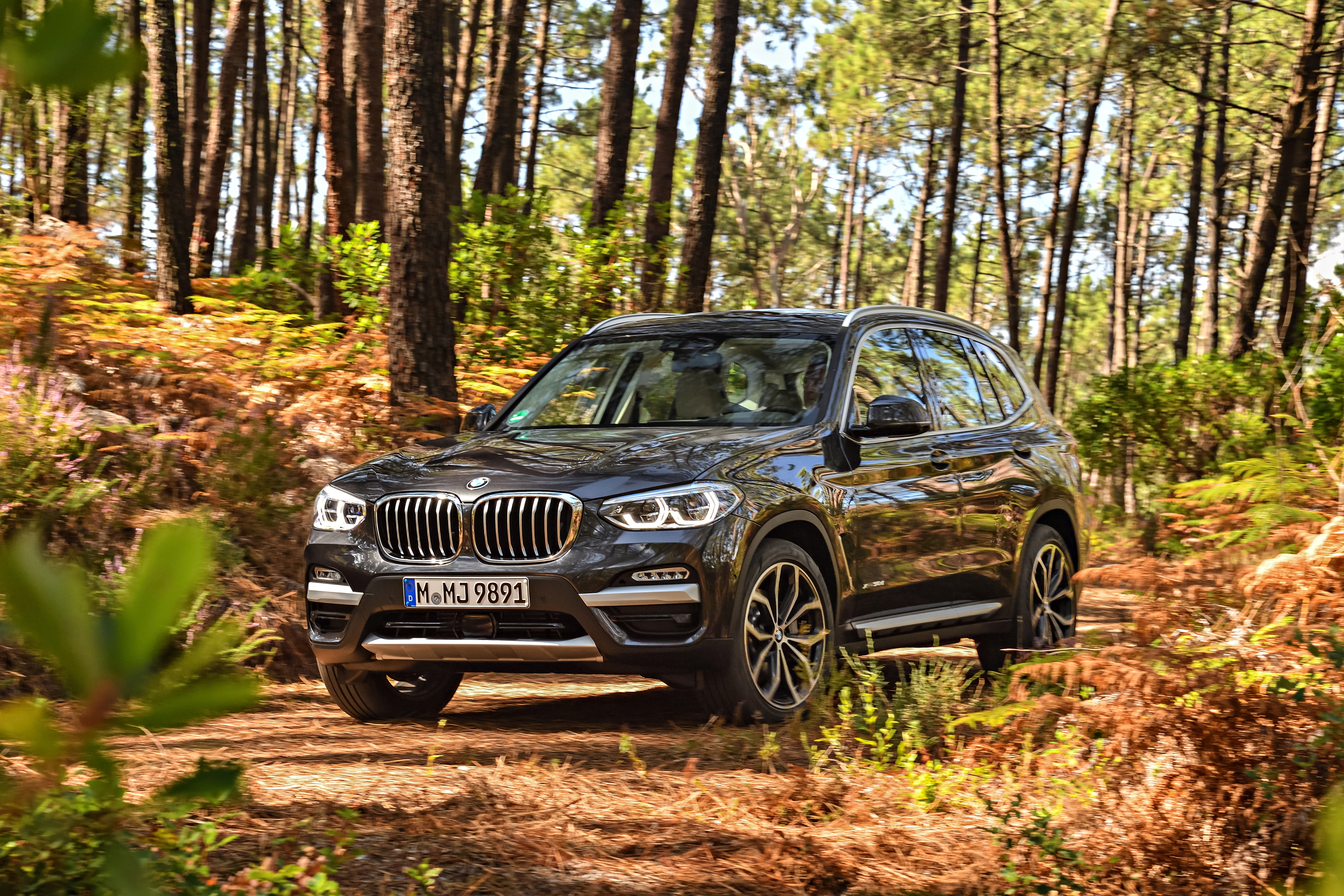 Бмв х3 g01. BMW x3 2017. BMW x3 g01 XLINE 2018. BMW x1 g01. BMW x3 g01 бездорожье.