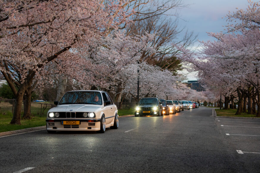 The Cherry Blossom Run Celebrates Three Years BimmerLife